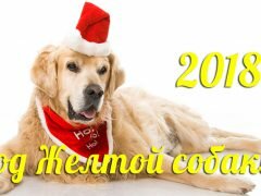 Гороскоп на 2018-й год Собаки